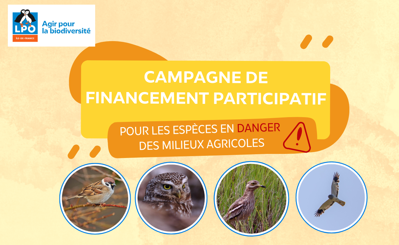 Financement participatif pour les espèces en danger des milieux agricoles